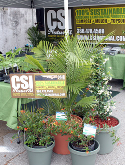 CSI Natural and Lindley's Nursery in New Smyrna Beach working as a team and making a strong showing.