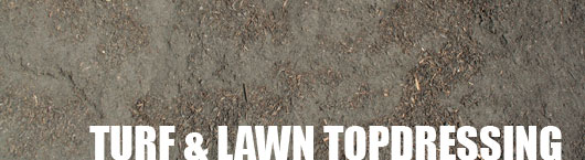 CSI Natural Turf/Lawn TopDressing Close-Up
